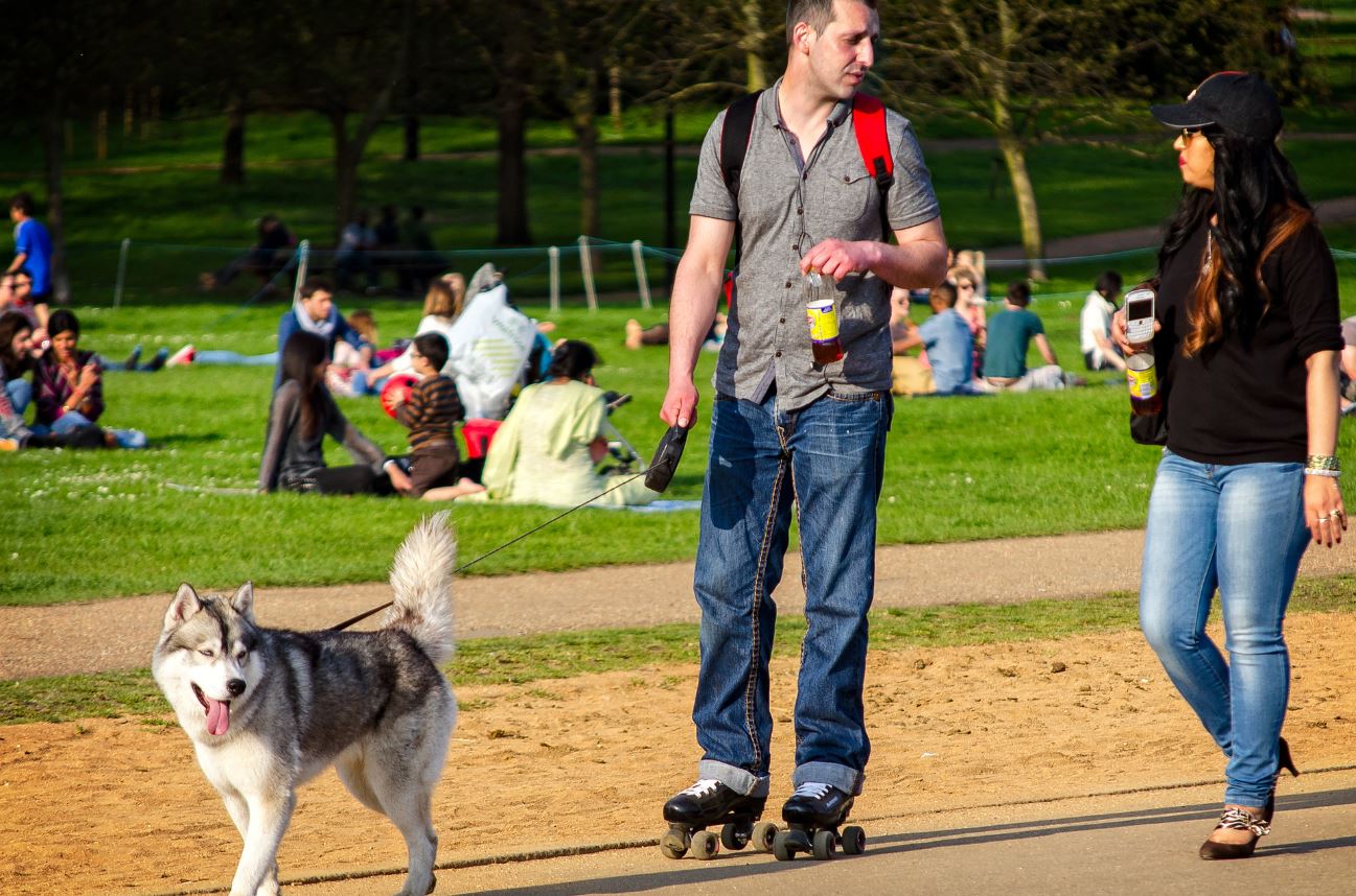 Best 15 dog parks in England for 2020